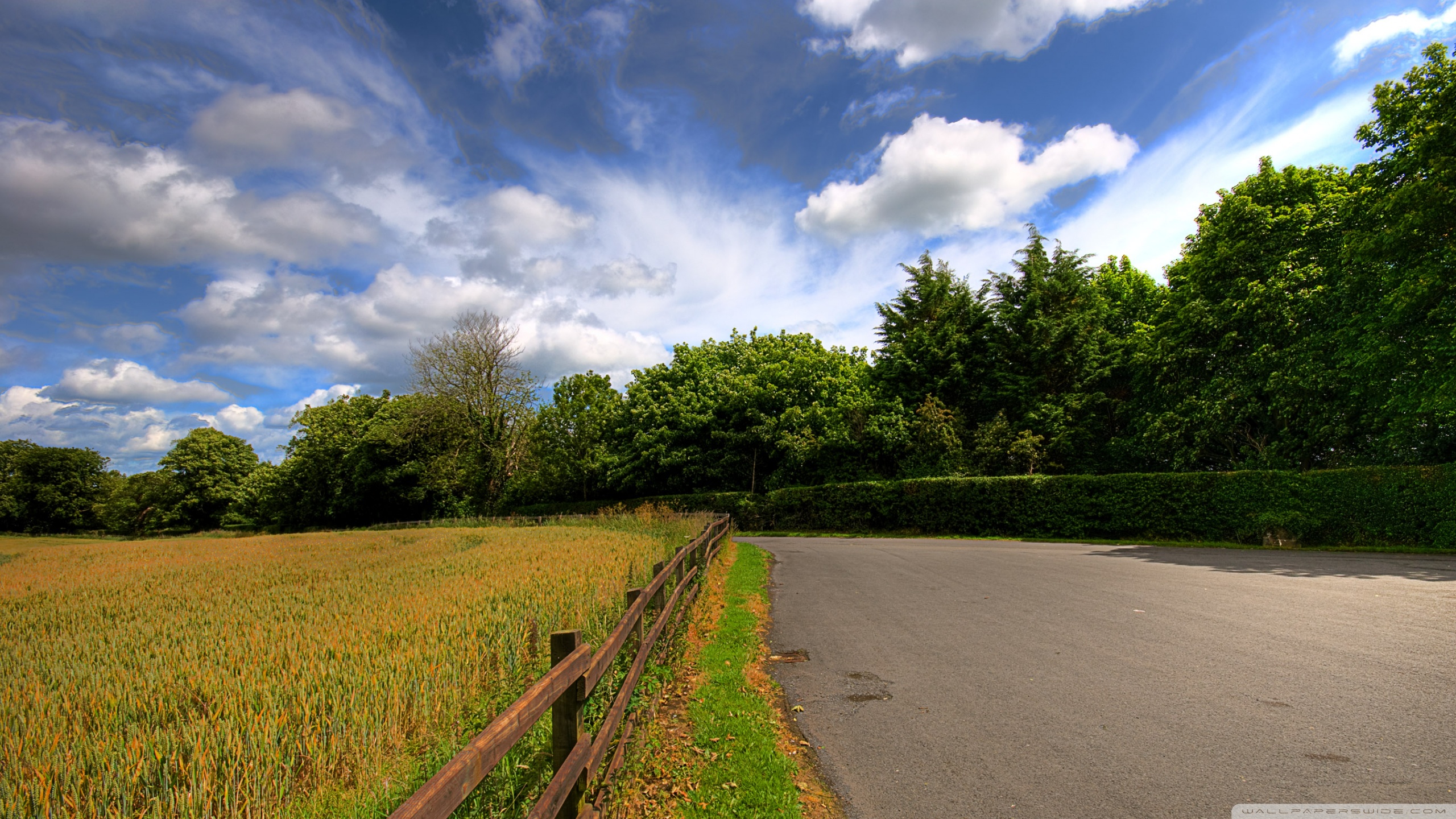 Countryside walks. Сельская дорога в Англии. Дорога в деревне. Проселочная дорога. Красивая дорога в деревне.